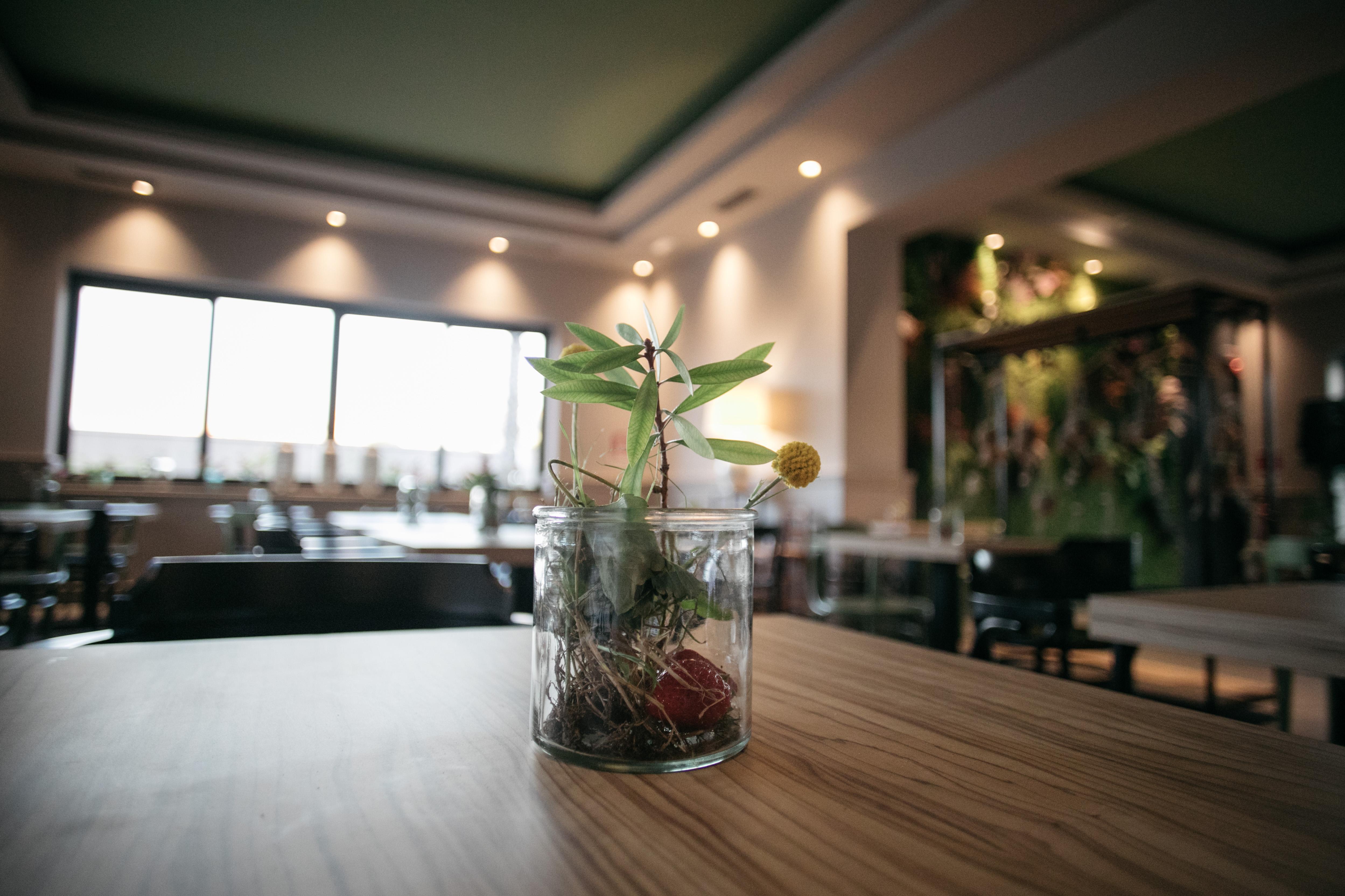 Hotel Aloisi Лече Екстериор снимка
